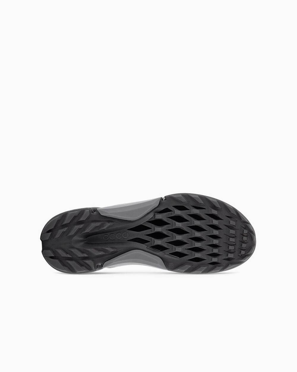 ECCO Golf Biom H4 Negro