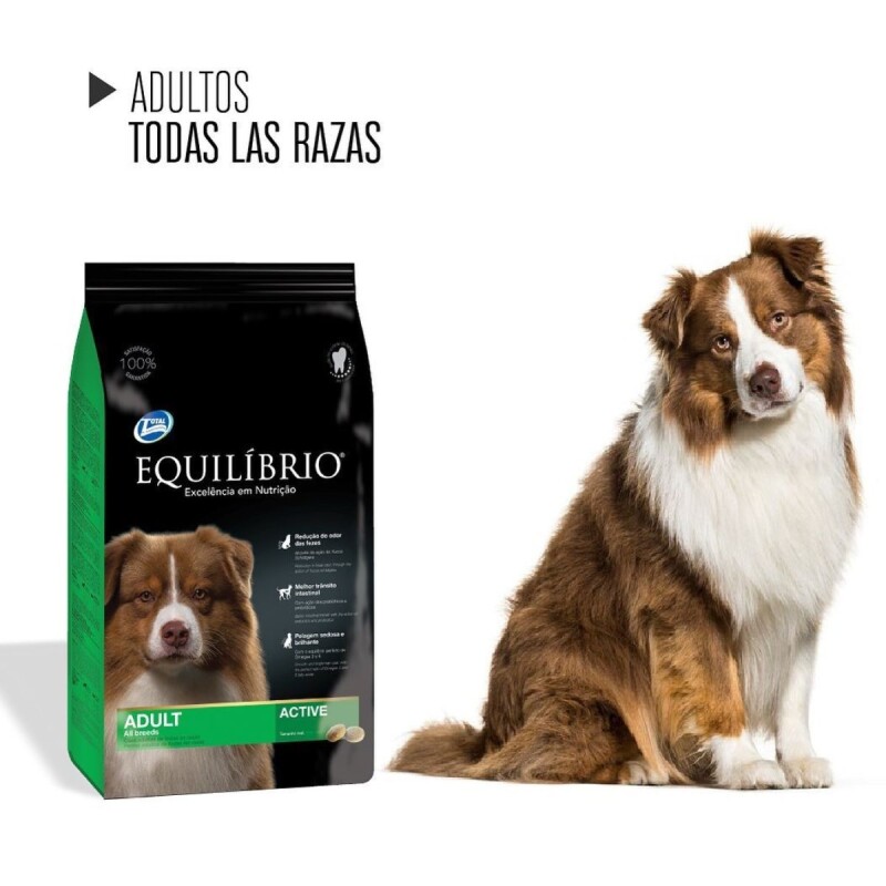EQUILIBRIO PERROS ADULTOS TODAS LAS RAZAS ACTIVE 2 KG