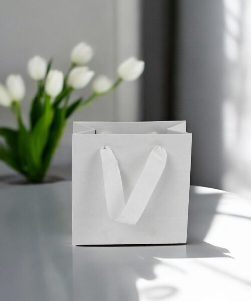 Bolsa cartulina eco 10x05x10 cm BLANCO