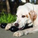 Kong Extreme Goodie Bone Medium Kong Extreme Goodie Bone Medium