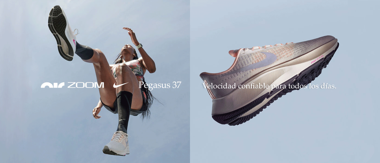 Nike Air Zoom Pegasus 37