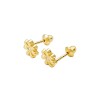 Abridores Flor-Oro Bajo- Zirconia blanca-AB8025 conpiedra