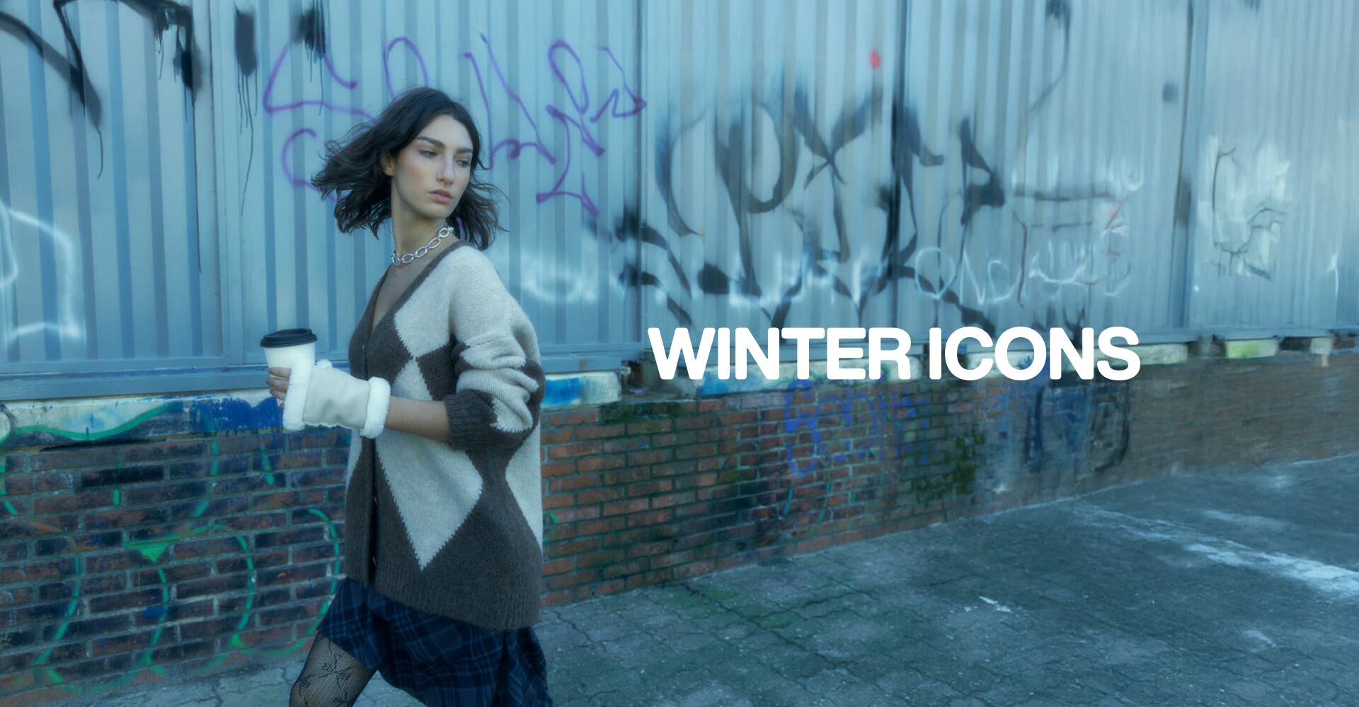 Winter Icons