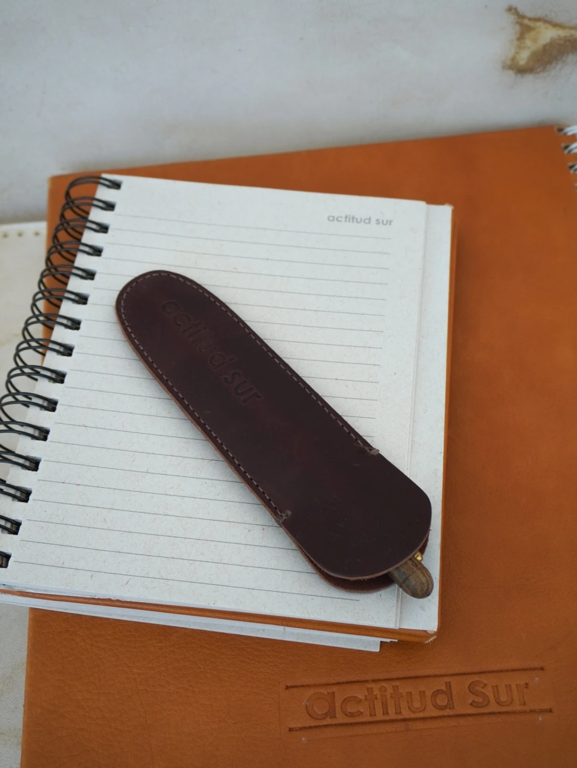 Desk Pen