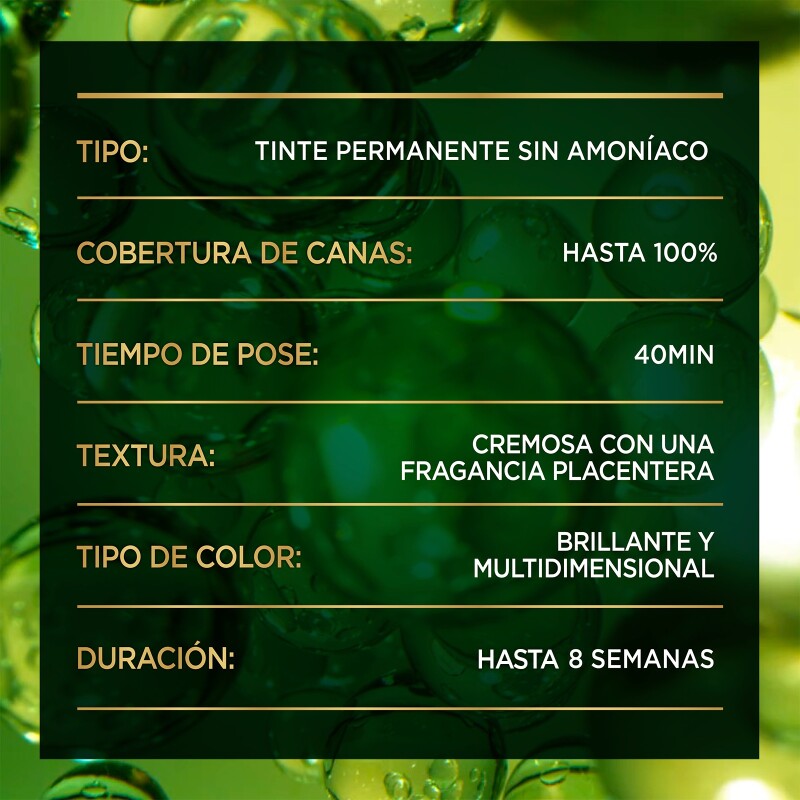 Tinta Garnier Nutrisse Oleos N°6.0 Rubio Oscuro Tinta Garnier Nutrisse Oleos N°6.0 Rubio Oscuro