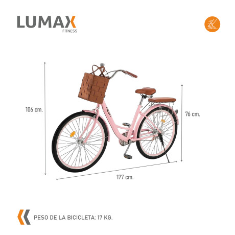 Bicicleta Urbana Rodado 26 con Canasto Vintage Rosa