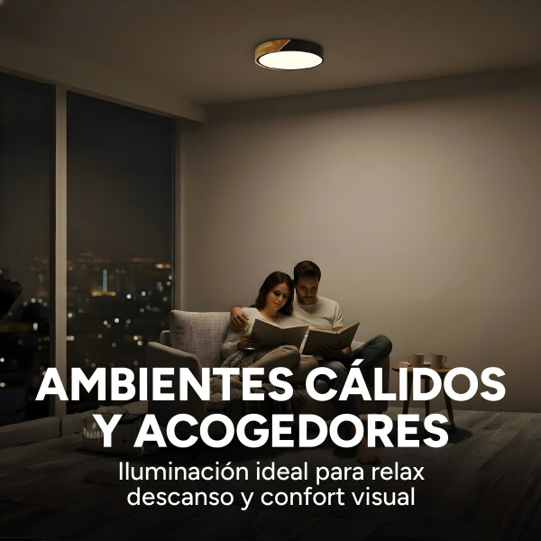 Plafón Led Techo 24 Cm Madera Luz Cálida 24W Moderno Nórdico Color Negro
