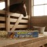 BIFETACEL PLUS 31 GR TOMA PARA CABALLOS BIFETACEL PLUS 31 GR TOMA PARA CABALLOS