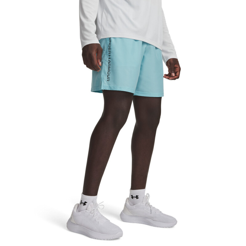 UA Tech Woven Wordmark Short BLU-425