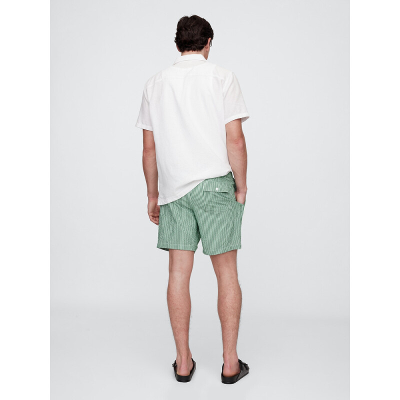 V-6IN SWIM TRUNK GREEN STRIPE
