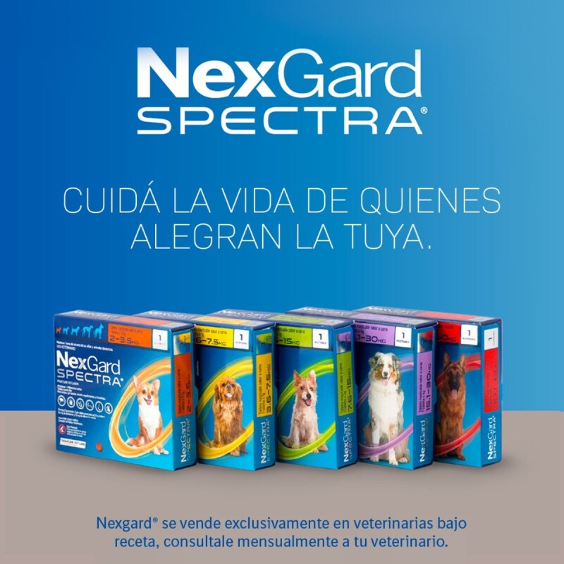 NEXGARD SPECTRA X 3 COMPRIMIDOS ANTIPARASITORIO INTERNO Y EXTERNO DE 15,1 A 30 KG
