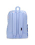 Mochila Superbreak - Unisex Dry Brush Daisy