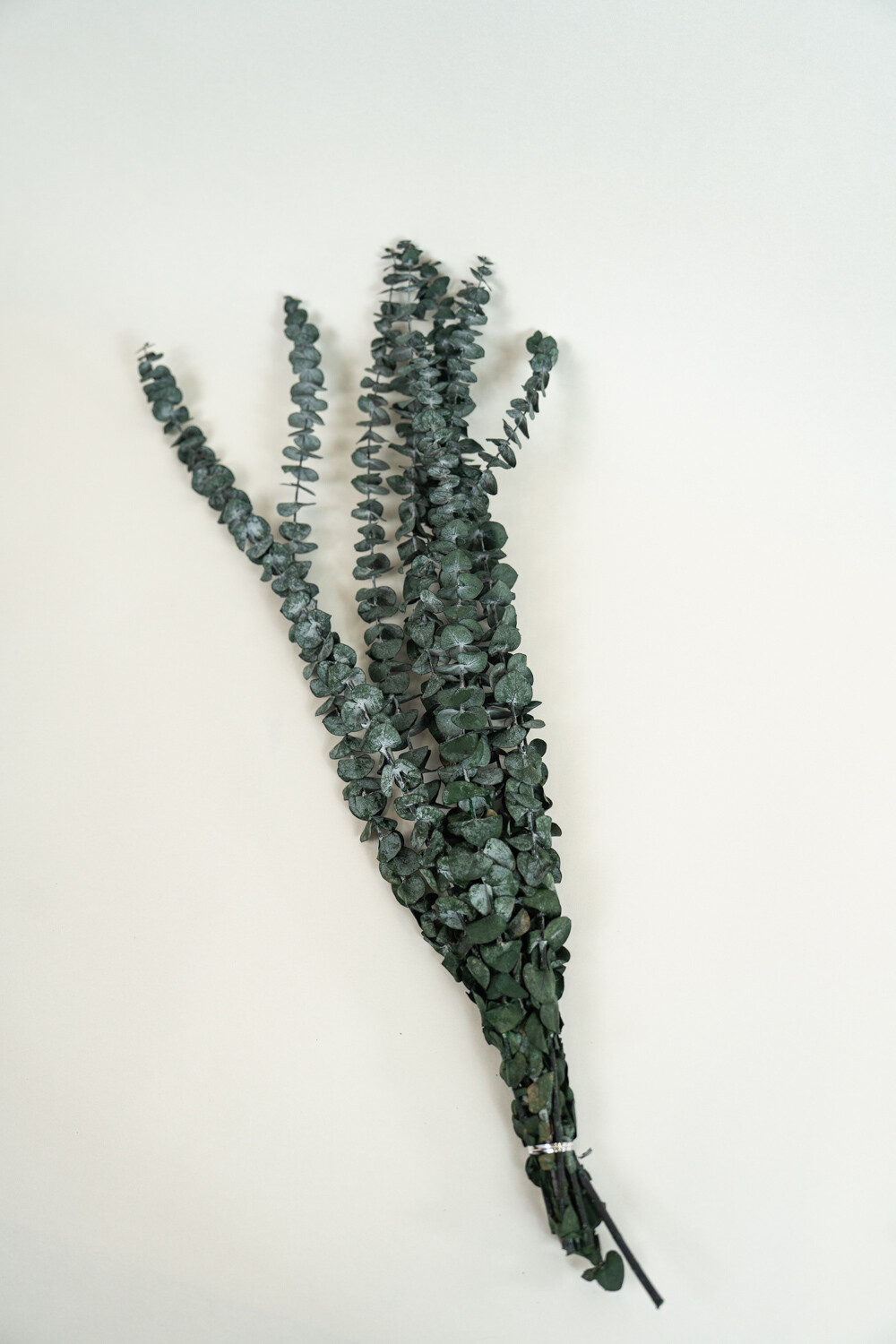 Deco Floral Eucalyptus, Seco Color Unico