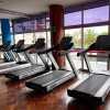Caminador Profesional Athletic 9200T Caminador Profesional Athletic 9200t