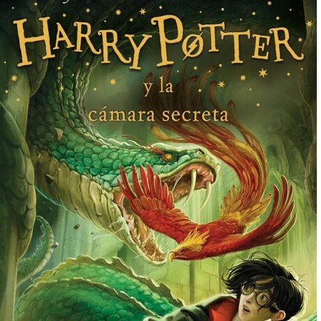 Libro Harry Potter y la Camara Secreta Libro Harry Potter y la Camara Secreta