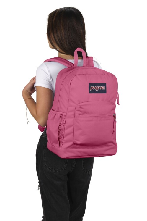 MOCHILA JANSPORT CROSS TOWN PLUS MAUVE HAZE