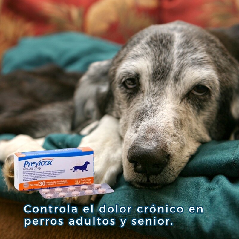 PREVICOX 57 MG X CAJA DE 30 COMPRIMIDOS
