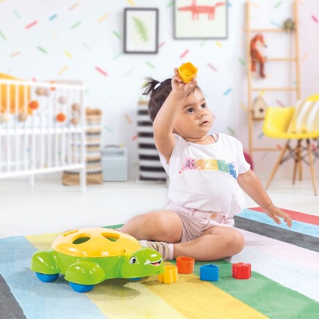 Tortuga Didactica Dolu Tortuga Didactica Dolu