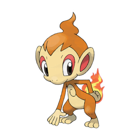 Chimchar • Pokémon - 963 Chimchar • Pokémon - 963