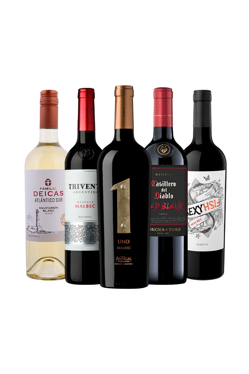 Pack Bacán Selección 'Blends & Descubrimientos x5 vinos 