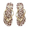 Chanclas Tropical Brasil Ojota Slim Fashion Premium De Mujer - Dorado/blanco Dorado-blanco