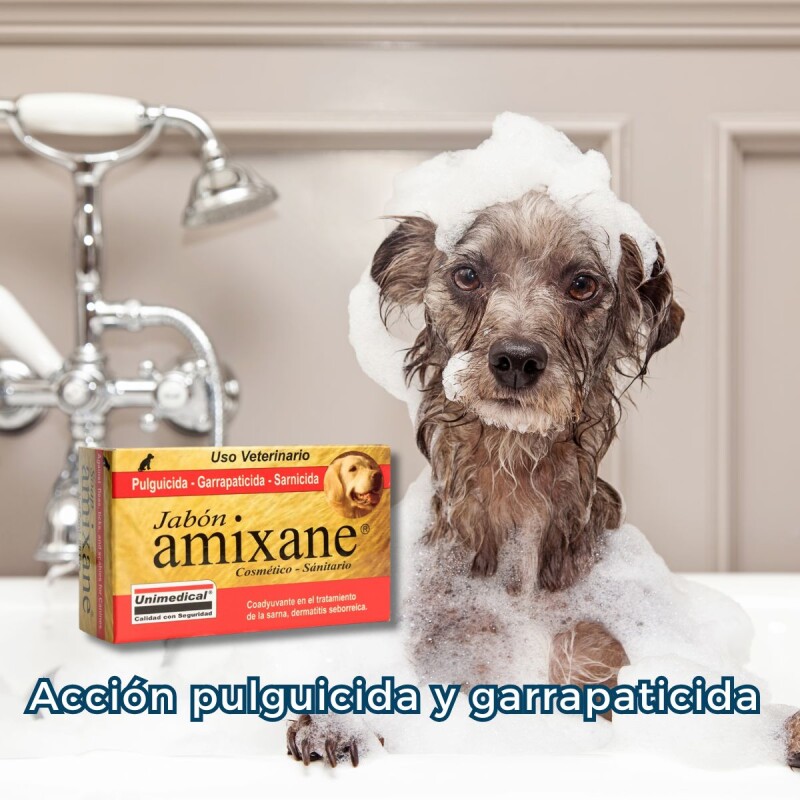 JABÓN AMIXANE PULGICIDA GARRAPATICIDA SARNICIDA 80GR JABÓN AMIXANE PULGICIDA GARRAPATICIDA SARNICIDA 80GR