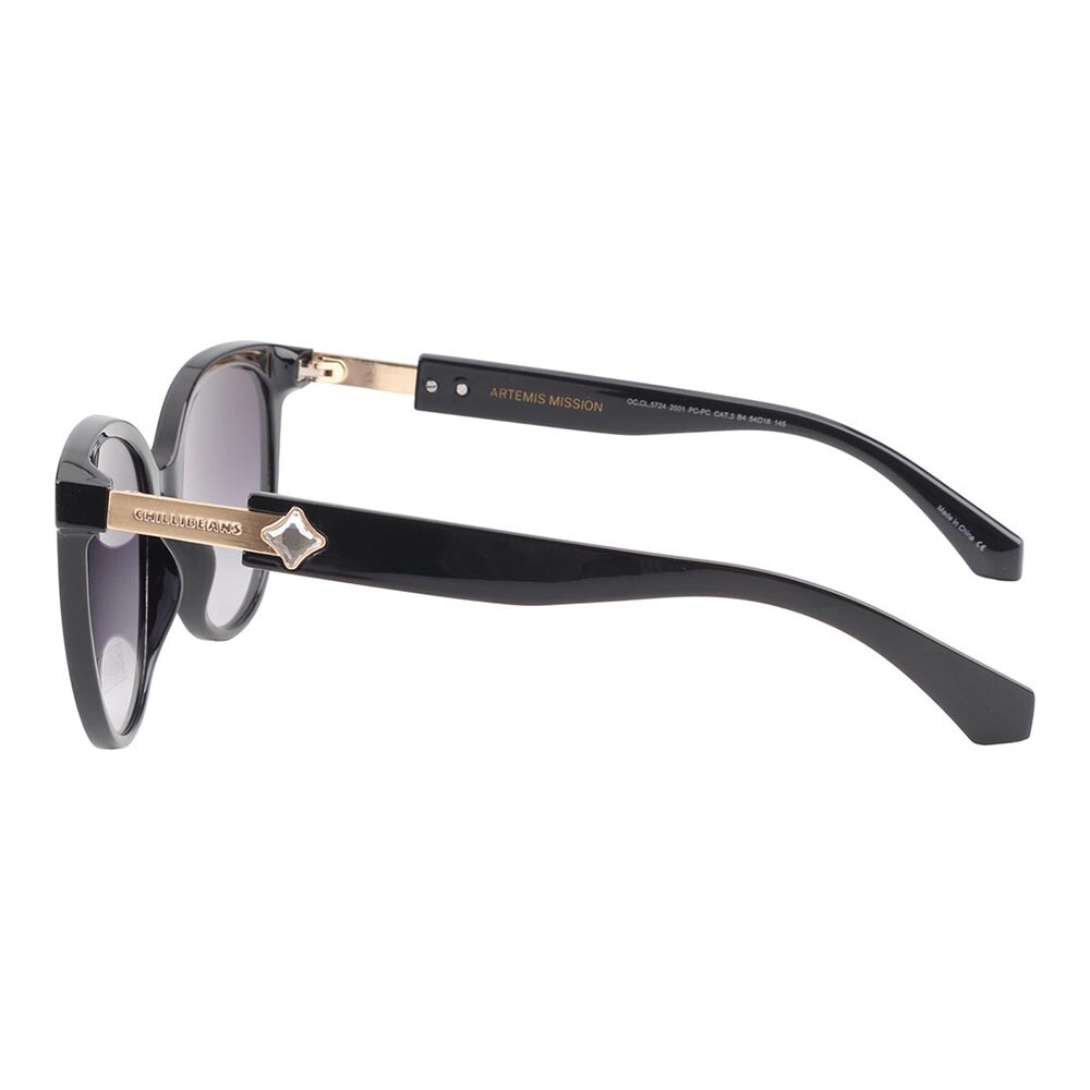 Lentes De Sol Nasa 2026 Redondo Gradiente/Negro