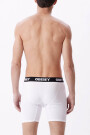 ESTABLISHED WORK 2 PACK BOXERS Blanco