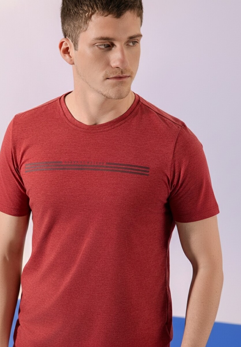 Remera con Serigrafía. 