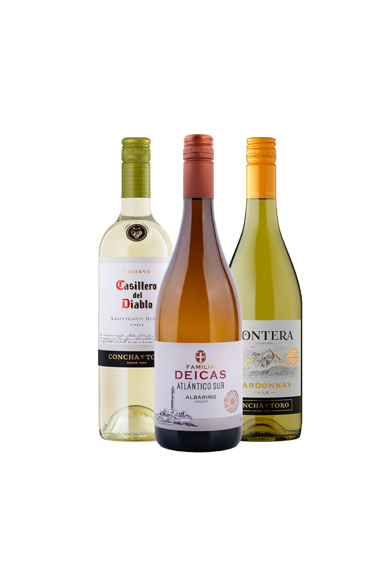 Pack Bacán Selección Entre Estilos x3 vinos Notas Frescas 