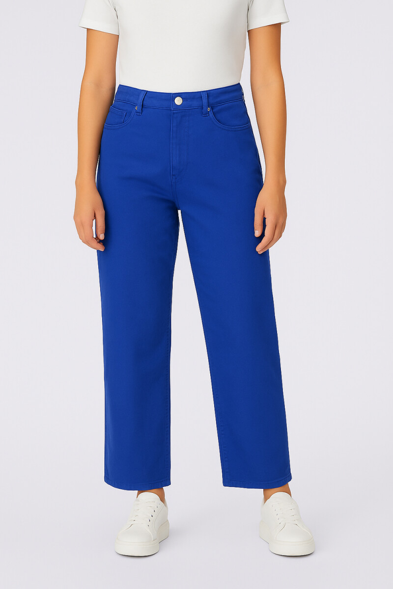 Pantalon Greyling - Violeta Oscuro 