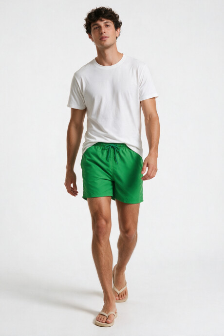 Short Terrier Menta