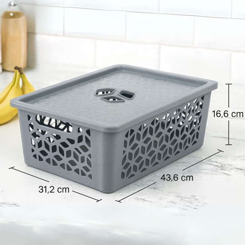 Caja organizadora con tapa G 15L GRIS