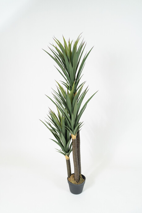 Planta Yucca 150cm Color Unico
