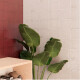 Porcelanato Blanco Brillo 22.3X22.3Cm Piso Pared GAMAS DE BLANCO