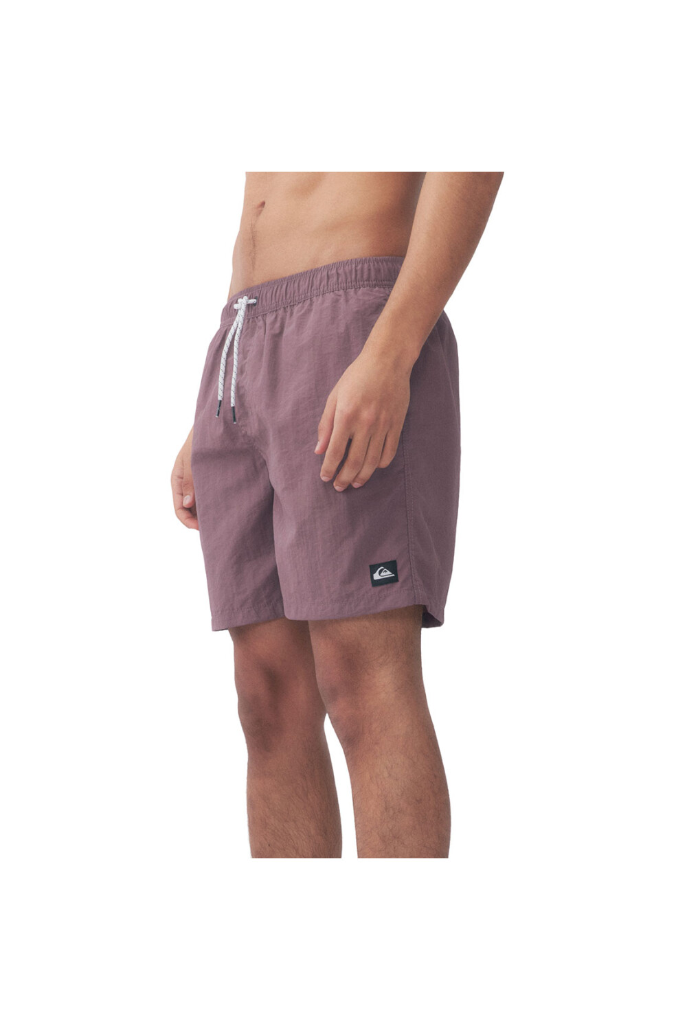 Quiksilver Short Volley SKY Hombre - Violeta Violeta
