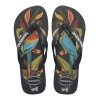 Sandalias Havaianas IPE FC Hombre Nuevo Grafito