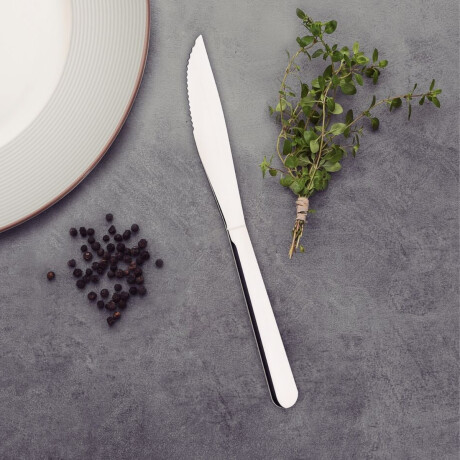 Cuchillo de asado. Malibú. De acero inoxidable Tramontina Cuchillo de asado. Malibú. De acero inoxidable Tramontina