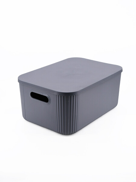 CAJA ORGANIZADORA CON TAPA GRIS