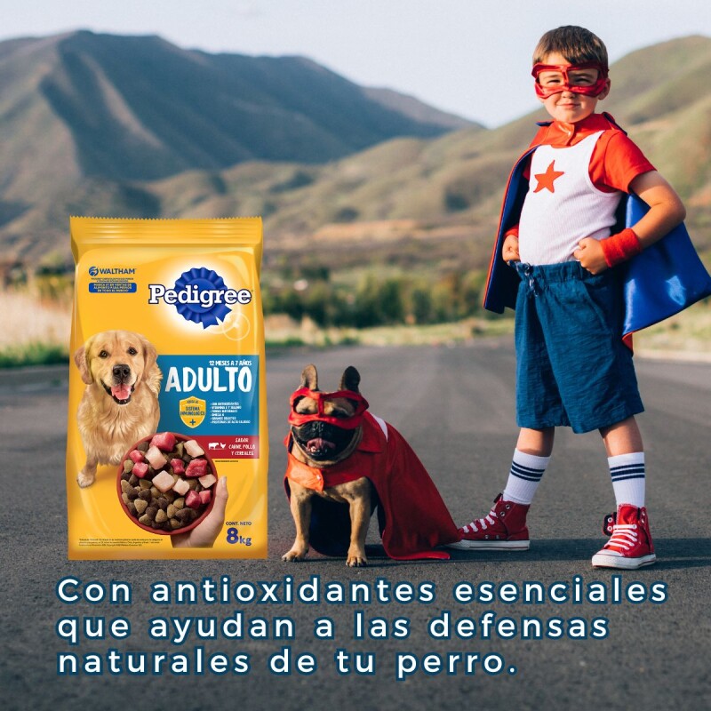 PEDIGREE PERROS ADULTOS 21 KG + 3 KG DE REGALO