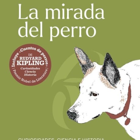 LA MIRADA DEL PERRO LA MIRADA DEL PERRO