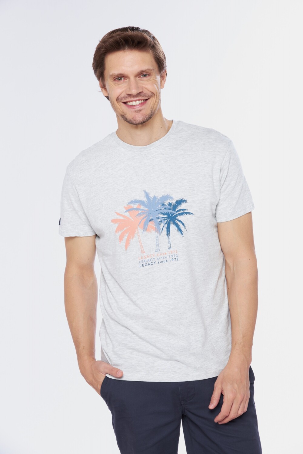 REMERA ESTAMPADA Gris