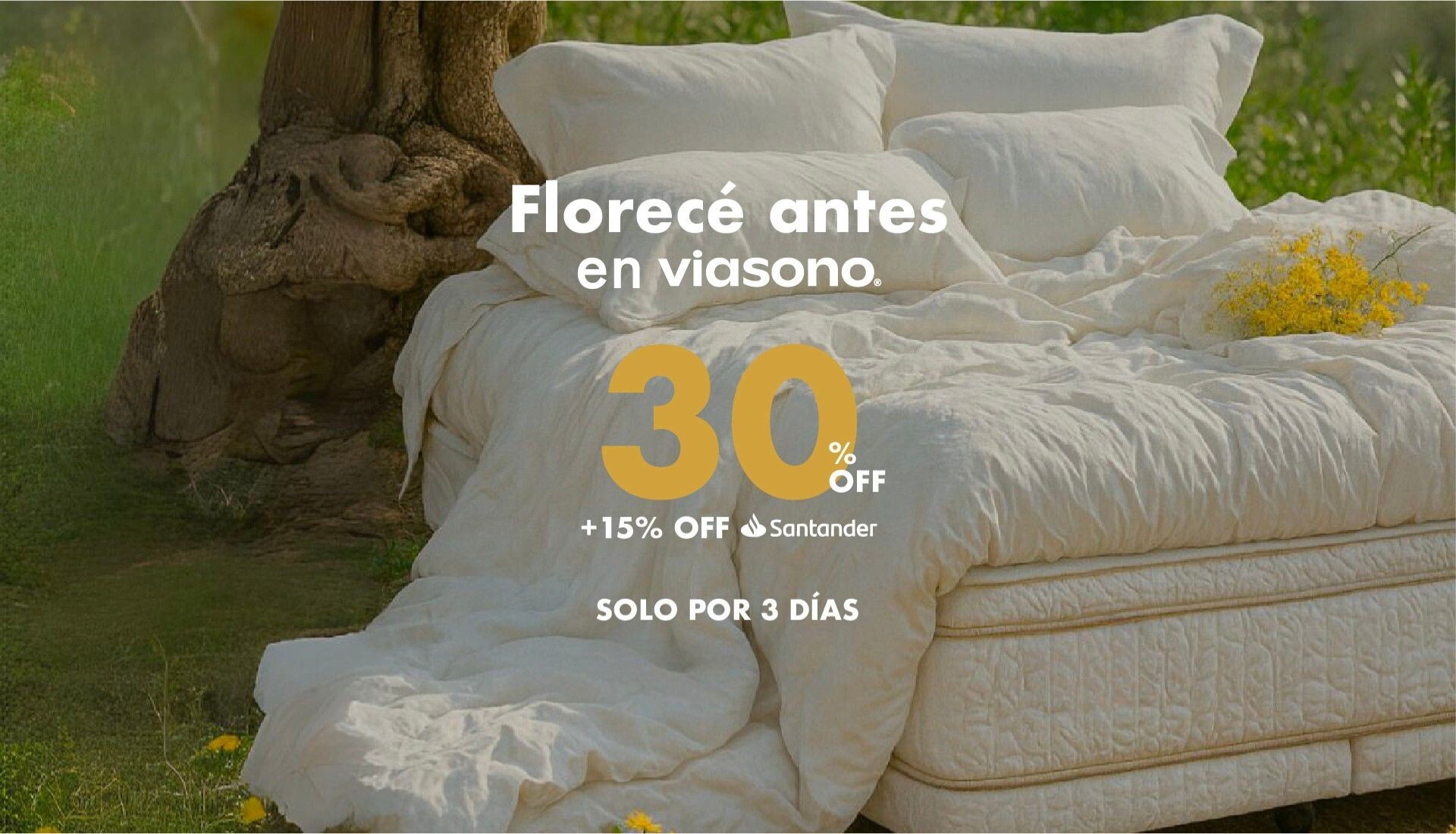 Florecé 30