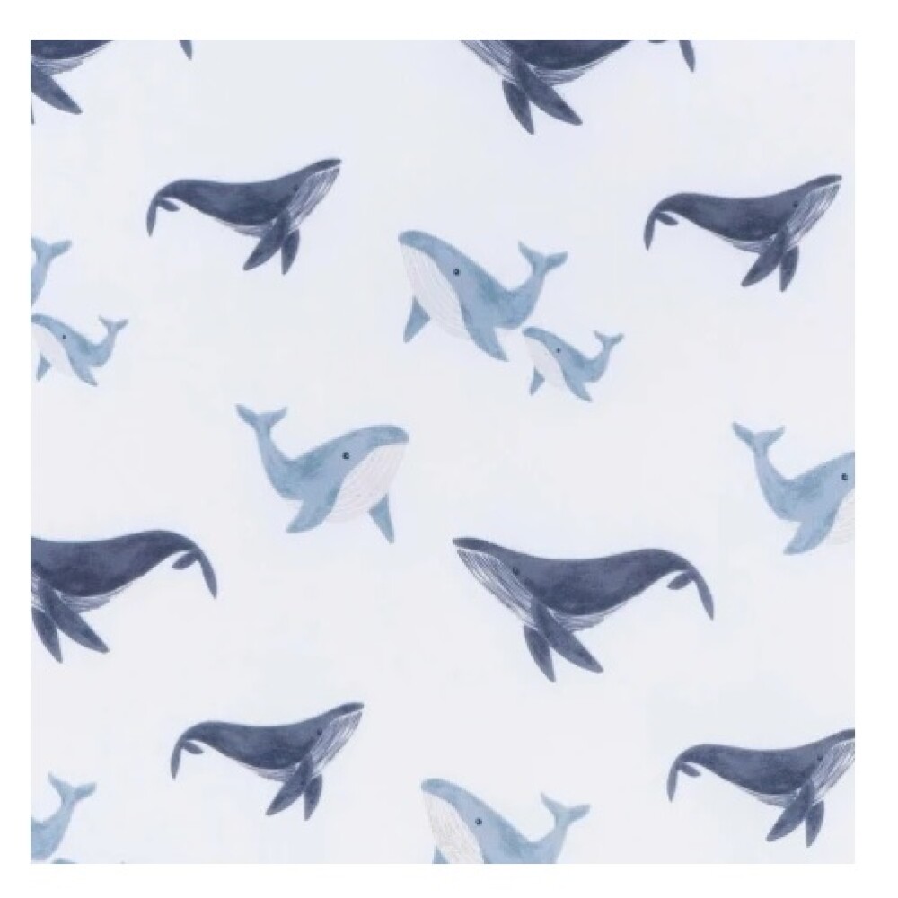 Sabana bajera universal x1 GERBER Whales