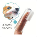 Kit de Cuidado y Aseo para Mascotas Celeste