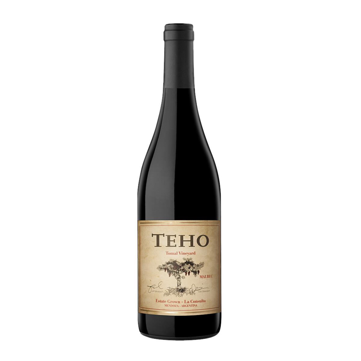 Vino Teho Malbec - 750 Ml 