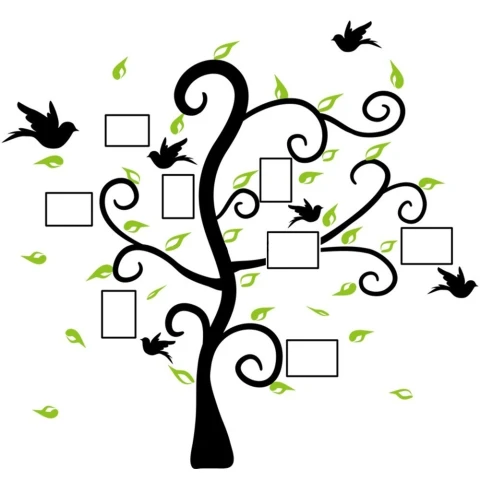 Vinilo Adhesivo Árbol Genealógico Portarretratos Para Pared Variante Arbol Con Marcos