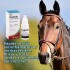 OCUBIOTIC COLIRIO ANTIBIÓTICO SIN ESTEROIDES 5 ML OCUBIOTIC COLIRIO ANTIBIÓTICO SIN ESTEROIDES 5 ML
