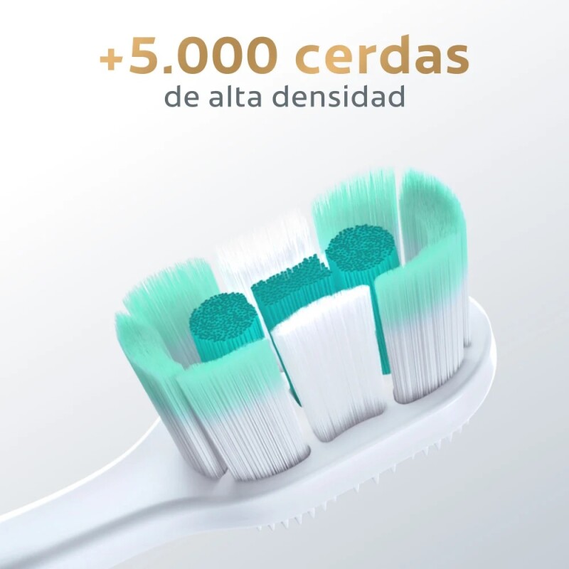 Cepillo De Dientes Colgate Total Limpieza Espumosa 2 Uds. Cepillo De Dientes Colgate Total Limpieza Espumosa 2 Uds.