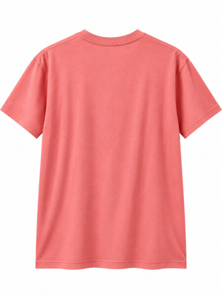 REMERA TIZA VARIANTE 1